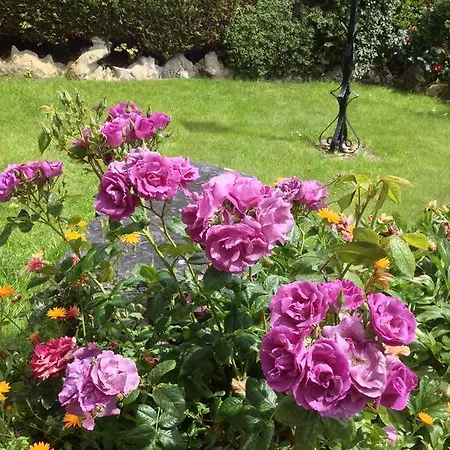 Bohola House Bed & Breakfast *